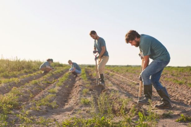 Carlos Eduardo Moraes Nunes
