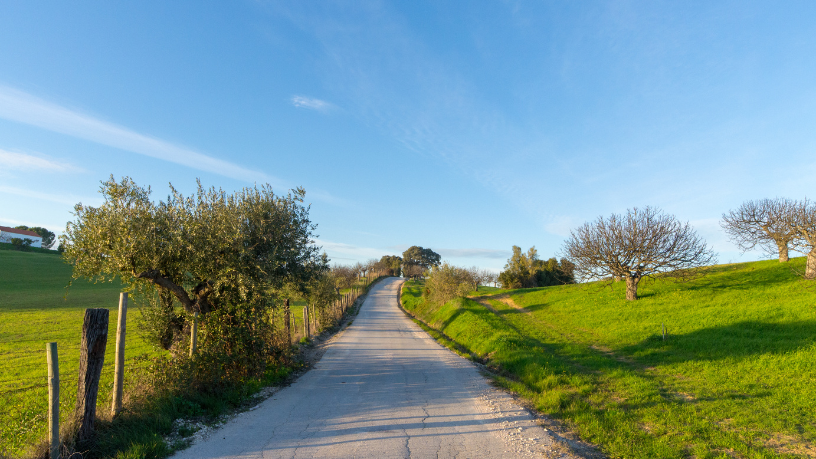 Conhecimento que transforma — Fabio Jose Gentil Pereira Rosa defende a formação técnica como base do futuro da agricultura.