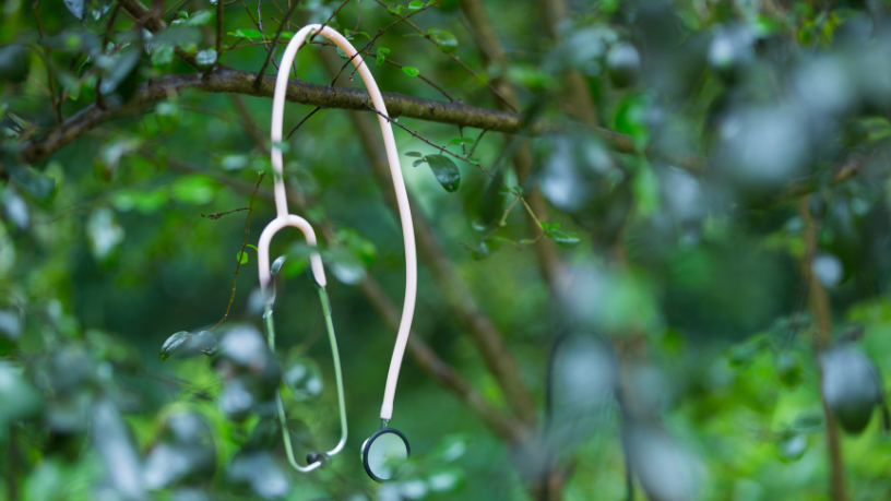 Entenda com Diohn do Prado como o meio ambiente influencia nosso bem-estar e saúde diária.