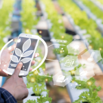 A inovação no agro com drones e sensores eleva a produtividade no campo, segundo Alfredo Moreira Filho.