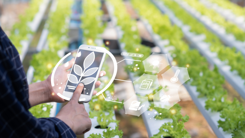 A inovação no agro com drones e sensores eleva a produtividade no campo, segundo Alfredo Moreira Filho.