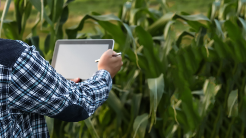 A inteligência aplicada à lavoura transforma resultados e otimiza decisões no agro, como destaca Alfredo Moreira Filho.